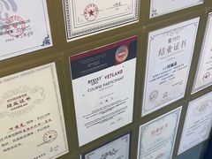 -博特宠物医院24h犬猫全科.骨科·异宠