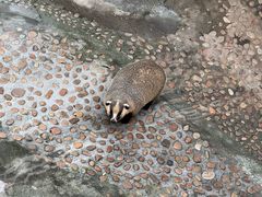 -西霞口神雕山野生动物世界