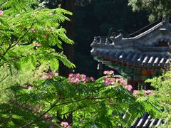 -红螺寺