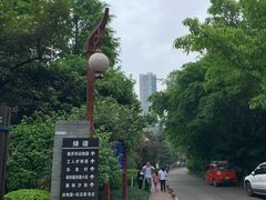 景点-重庆彩云湖湿地公园