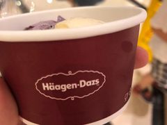 哈根达斯-芭菲盛宴·环球美食(解放碑英利国际店)