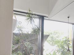 -gaga(深圳南山益田假日广场店)