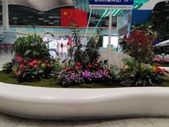 -广州白云国际机场-T2航站楼