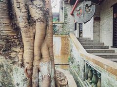 -国恩寺
