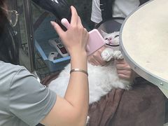 -瑞鹏·疫苗·绝育·宠物医院(金沙洲店)