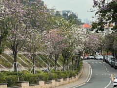 -小南山公园