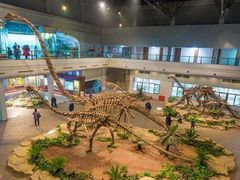 -自贡恐龙博物馆