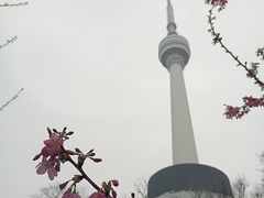 -龟山风景区-龟山电视塔
