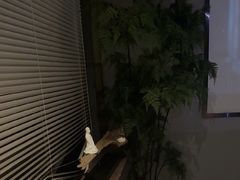 -上足·影院足道·SPA(红岭店)