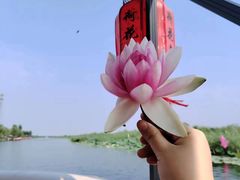 -白洋淀景区
