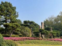 -渡海小渔村.老辈日照菜