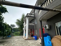 -金水泊山庄·花椒鸡(铁山坪店)