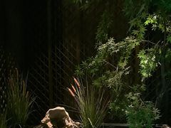 -见康道莱•足浴按摩•艾灸•SPA(友谊店)