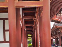-西安乐游原