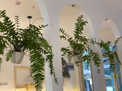 -春树下·树屋花房西餐厅(罍街AS1980店)