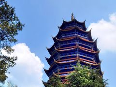 -铁山坪森林公园