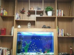 -八九道菜(隆城街店)
