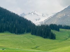 -新疆那拉提国家旅游度假区