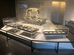 -北京周口店北京人遗址博物馆