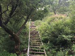 -灵山