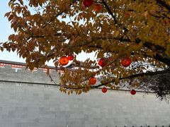 -唐城墙遗址公园