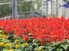 -苏州河梦清园环保主题公园