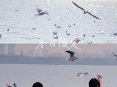-蠡湖大桥公园