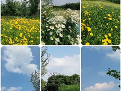 -南京雨花台风景区