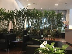 -奔驰北京极光星徽(四元桥店)