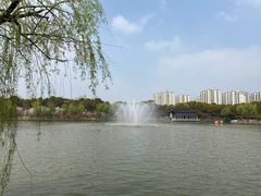 -南汇桃花村