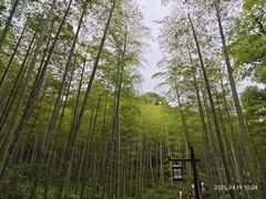 -东明山森林公园