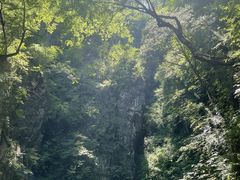 -塔云山