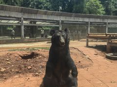 -昆明动物园