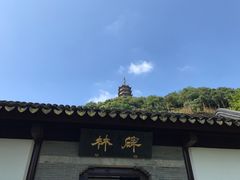 -焦山风景区