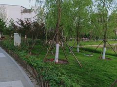 -西海子公园