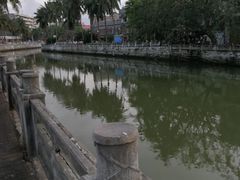 -吉英盐焗鸡(文中路店)