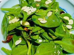 凉拌穿心莲-金枝玉叶上海人家食府(三里河店)