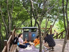 -大岭沟猕猴桃谷风景区