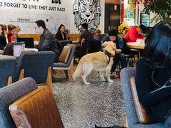 大堂-Moka Bros 摩卡站(嘉华店)