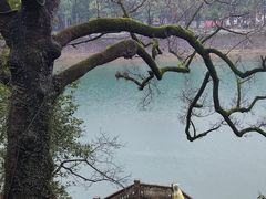 -蒋氏故居