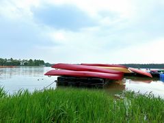 -上海海湾国家森林公园