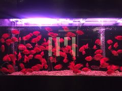 -大唐盲人按摩中心(黄山路店)