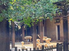 -南昌动物园