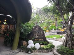 -100蛋泥浆浴
