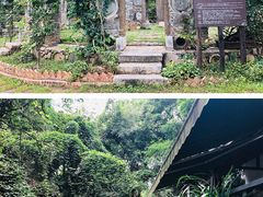 -美丽南方·老木棉匠园·团建烧烤·烤全羊