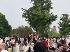 -大雁塔北广场音乐喷泉