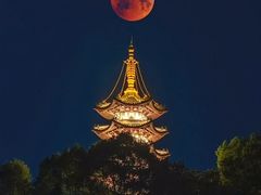 -龙抄手食府(浣花北路店)