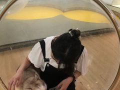 -Husky Go! 哈士奇体验馆·宠物咖啡厅狗咖