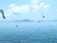 -海驴岛(荣成市)