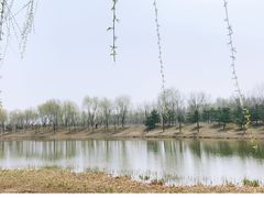 -东郊湿地公园